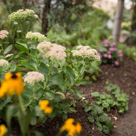 Bardolino Fine.food.hotel Hotel